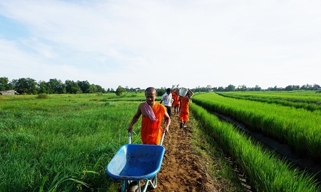 Đồng bào Khmer Sóc Trăng chung tay bảo vệ môi trường (18/8/2023)